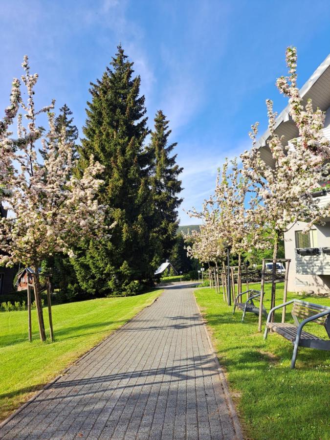 Wellness Apartment Josefina - Free Grotta Spa Wellness Harrachov Exteriör bild